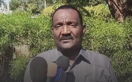 إقالة والي سنار