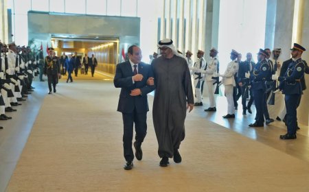 السيسي وبن زايد يبحثان سبل استعادة الاستقرار في السودان