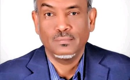 أمين حسن عمر: عقوبات أمريكا ارتقت بالبرهان