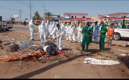الدفاع المدني يبدأ في تعقيم ود مدني توطئة للعودة الآمنة للمواطنين