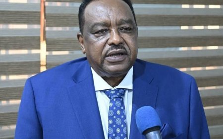 تشكيل لجنة عليا لحصر أضرار المليشيا المتمردة بمشروع الجزيرة