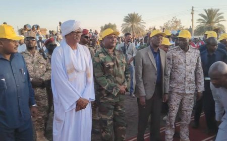 من القضارف.. إطلاق حملة قومية كبرى لمكافحة نواقل الأمراض في "11" ولاية