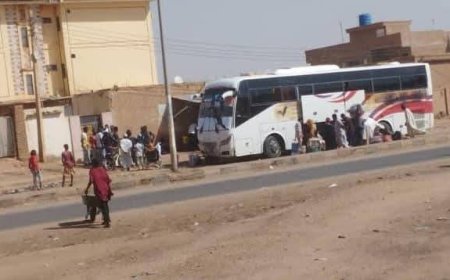 20 رحلة مجانية من ولايتي القضارف وكسلا إلى ود مدني