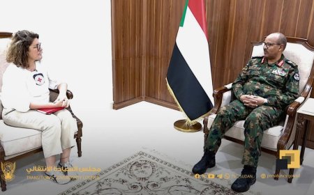 إبراهيم جابر يلتقي مسؤولة بالبعثة الدولية للصليب الأحمر