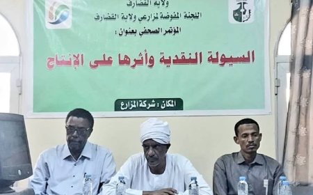 اللجنة المفوضة لمزارعي القضارف: عدم توفير الدولة السيولة النقدية لعمليات الحصاد ينذر بكارثة و"مجاذر" بين العمال والمزارعين بالولاية