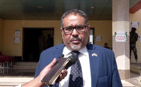 أسامة سعيد يحدد موعد تشكيل الحكومة الموازية