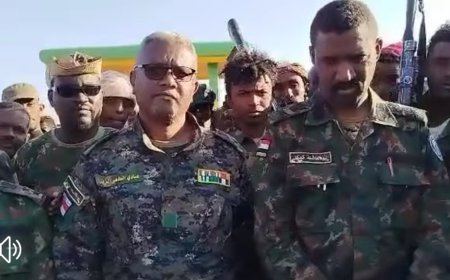 الجيش يحرر رفاعة والحصاحيصا بالجزيرة