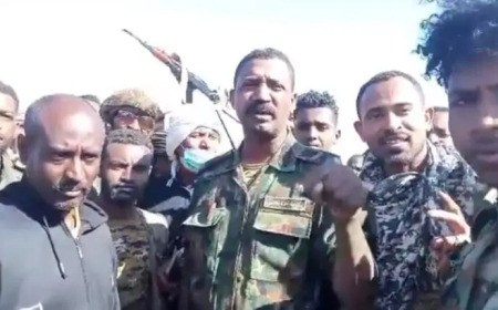 التحام قوات (درع السودان) مع الجيش بشرق النيل