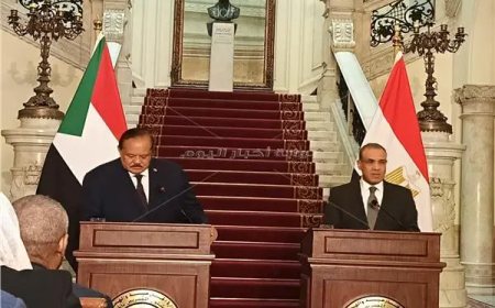 وزير الخارجية: تعرضنا لمؤامرة كبرى والجيش على وشك إنهاء الحرب