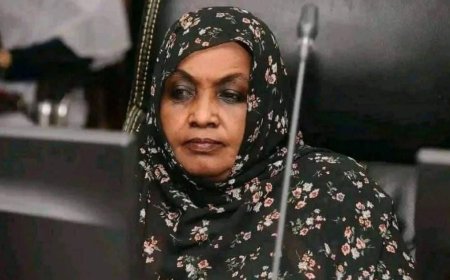 بدء العودة الطوعية من بورتسودان إلى الجزيرة غداً