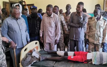 حركة "الحلو" ترتكب مجزرة بكادقلي 