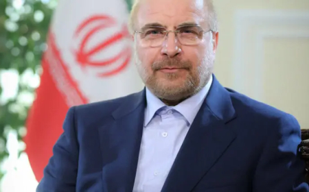 رئيس البرلمان الإيراني یلتقی وزير الخارجية في طهران