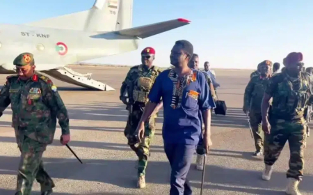 مناوي يصل مروي