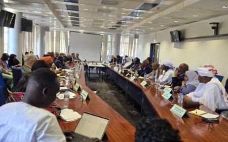 إنطلاق مفاوضات القوى السياسية السودانية باديس أبابا