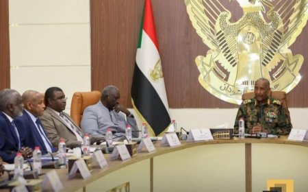 تعديل الوثيقة الدستورية