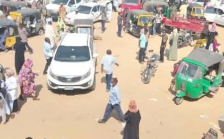 تسجيل 400 إصابة بـ"الكوليرا" في النيل الأبيض