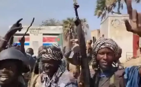 الجيش يُحرر "الكُرُقل" بجنوب كردفان