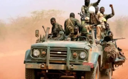 متحرك الصياد يدخل الأبيض