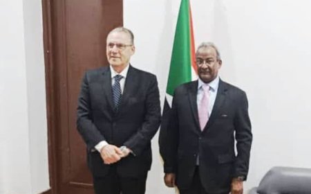 وكيل الخارجية يلتقي مسؤول أممي 