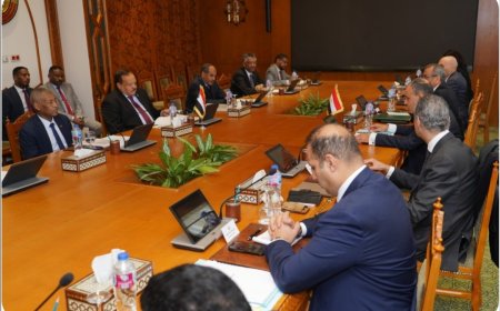 التفاصيل الكاملة لإجتماع وزراء خارجية السودان ومصر
