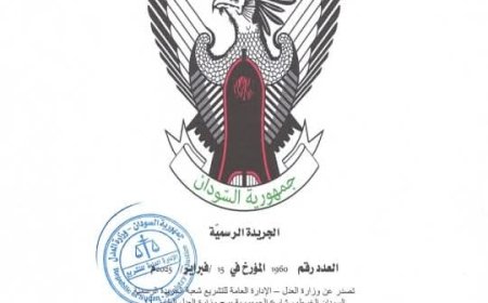 (مصادر ) تنشر نص الوثيقة الدستورية المعدلة