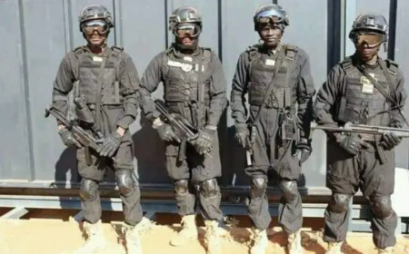 قوات خاصة تكمل نظافة الأحياء المشبوهة بالفاشر من عناصر المليشيا