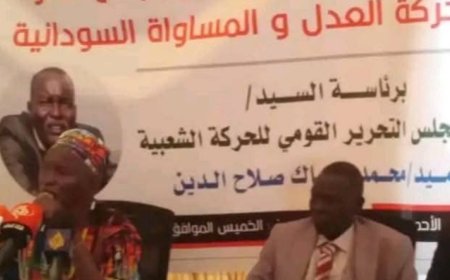 إنشقاق قيادات من حركة "الحلو"
