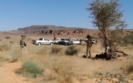 معلومات مثيرة حول مشاركة المرتزقة الكولومبيين مع المليشيا