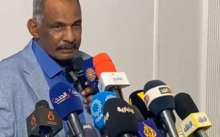 وداعة: تشتت القوى السياسية من أسباب الحرب والمليشيا لن تُقيم حكومة موازية في البلاد