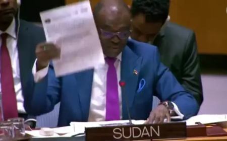 السودان يفضح الإمارات بمزيد من الأدلة أمام مجلس الأمن
