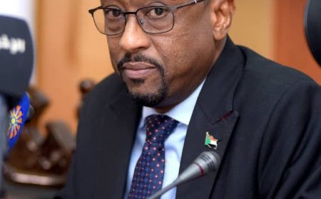 الثقافة والإعلام تدشين مكاتب إعلام خارجية بسفارات السودان