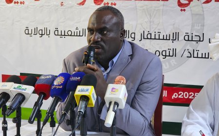 المقاومة الشعبية بشرق دارفور: قريباً سوف تنتفض مدن دارفور في وجه المليشيا