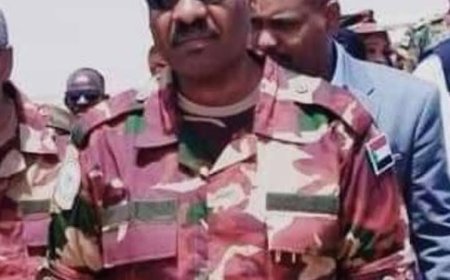 الجاكومي يحذر مناوي