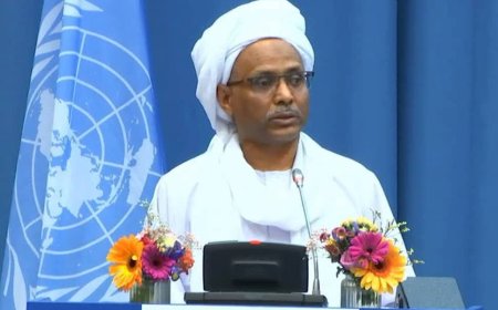 السودان : الامارات غير مؤهلة لاستضافة مؤتمر الأمم المتحدة لمنع الجريمة