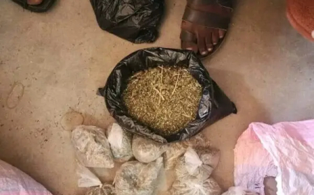 ضبط 400 كيلو آيس ومخدرات وأسلحة بالبحر الأحمر