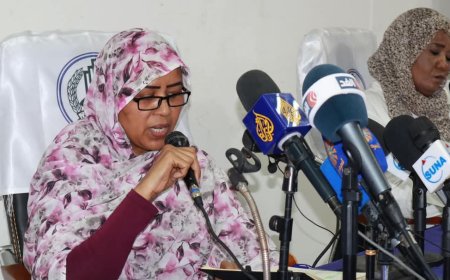 رصد 1392 حالة عنف جنسي للمليشيا بالبلاد