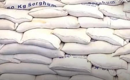 أمريكا: شحنة قمح تزن 32.5 ألف طن تصل بورتسودان