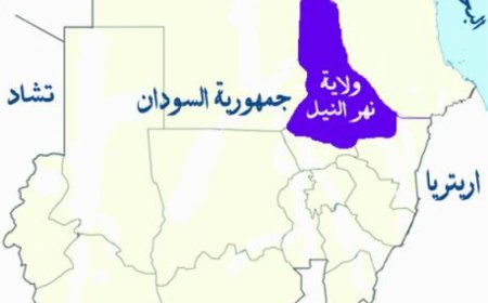 القبض على "العريس" أو ولي أمره.. منع إطلاق النار في مناسبات الزواج بولاية سودانية