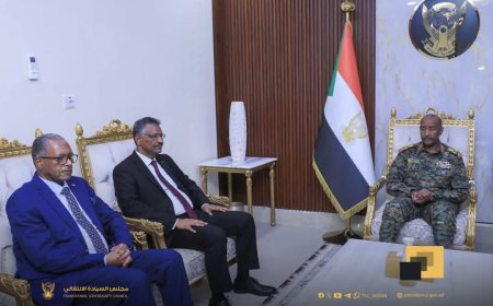 توجيهات سيادية صارمة بشأن العلاقات الخارجية