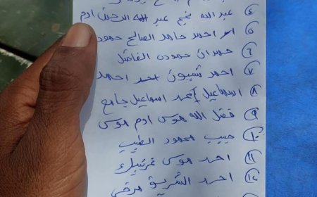 هلاك 14 عنصر من المليشيا بالدبيبات