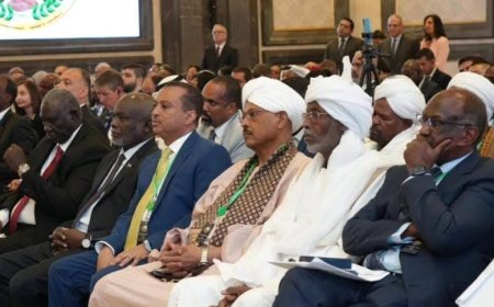 مصر تهدد سياسيين سودانيين بمنعهم من دخول أراضيها