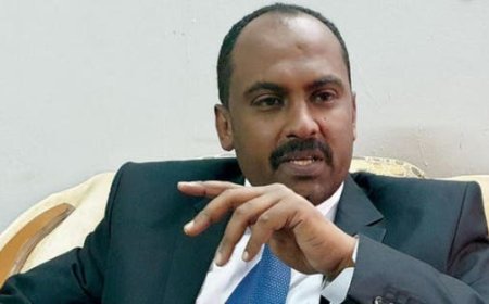 "صمود" ترحب بتشكيل الحكومة في بورتسودان