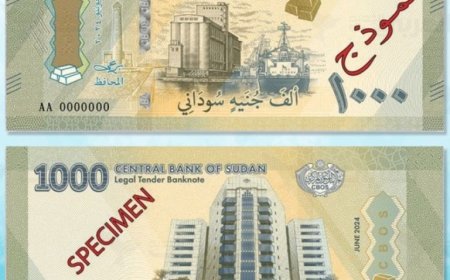 الكشف عن موعد إستبدال العملة في الجزيرة