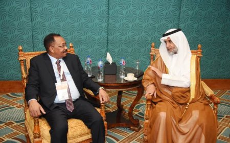 السودان والسعودية يبحثان التعاون في مجال التعدين