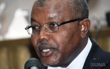 حاج ماجد سوار يكتب... في وداع تجاني المشرّف!!