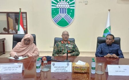 وضع مواقيت لإكمال إدخال الكهرباء لمحطات المياه والمستشفيات بالخرطوم
