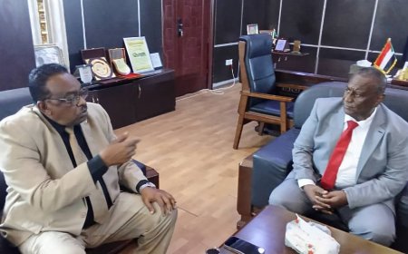 محافظ مشروع الجزيرة يعلن التدخل المباشر لمعالجة مشاكل الري