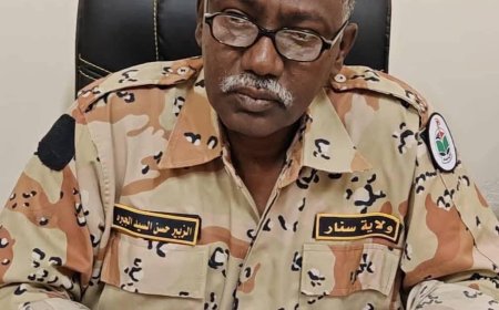 إقالة مسؤولين في حكومة سنار