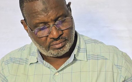 عبد الماجد عبد الحميد يكتب...إطلاق سراح الرضي