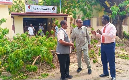 العدل: سلامة جميع السجلات التجارية وعدم تعرضها للتلف